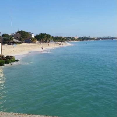 NoemieTem's profile picture. Engagement total pour retrouver la vraie France qui se leve tôt