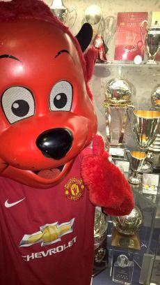 im fan of united⚽⚽ i love ufc follow me plzz