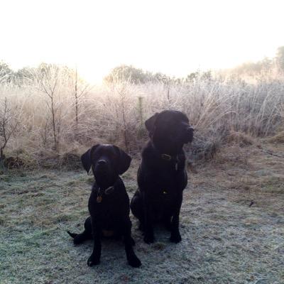 robhowell64's profile picture. 