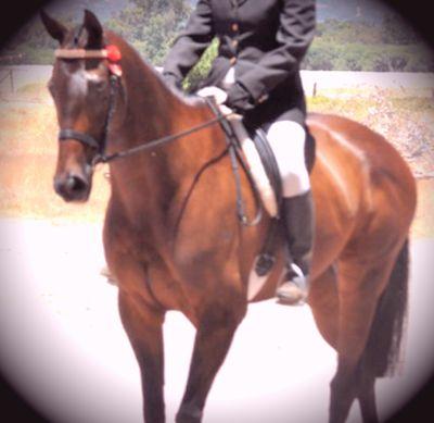 Mansamillion's profile picture. i love my horses and my family, i have the best friends a person could have and i'd lose my head if they weren't there. xxxx for everyone