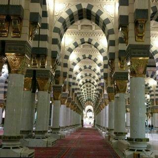 AbdullahNia's profile picture. 