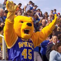 WNEalumni (@wnealumni) 's Twitter Profile