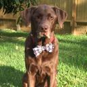 Heidi Whitehead - @heideggerw - Twitter