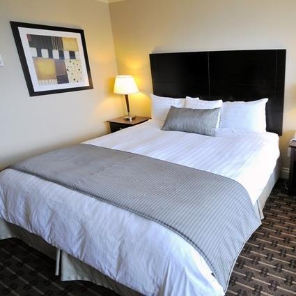 With probably the best views of the city, in a central location, the Park Inn is the ideal starting point to explore the city. Like us on http://t.co/y82vM1496S
