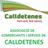 CalldetenesCS's profile image