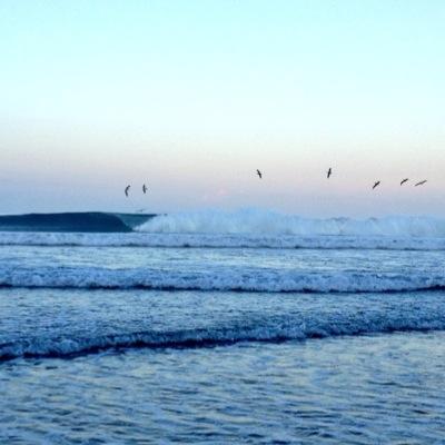 Buscando, Recolectando y transmitiendo lo bueno del pensamiento surfista. Life at the Ocean. Earth. SouthAmerica. Ecuador.