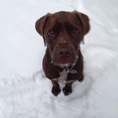 kwbvail's profile picture. 