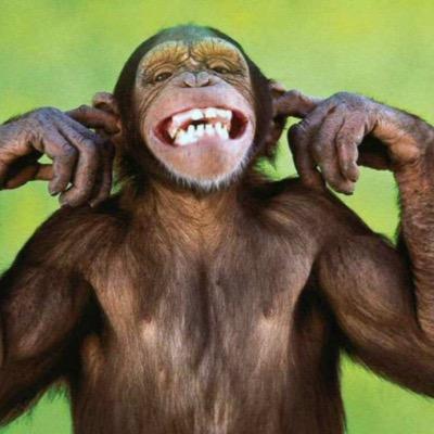 Lving life in the big city! Mh what can I say... Working as head Monkey wrangler, food junkie, gym, soccer, paddle bored, my bike, twitting whats on my mind.