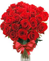 San Valentin llega al Mar Menor ¿a qué esperas para encargar tus rosas?