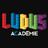 LudusAcademie's profile image