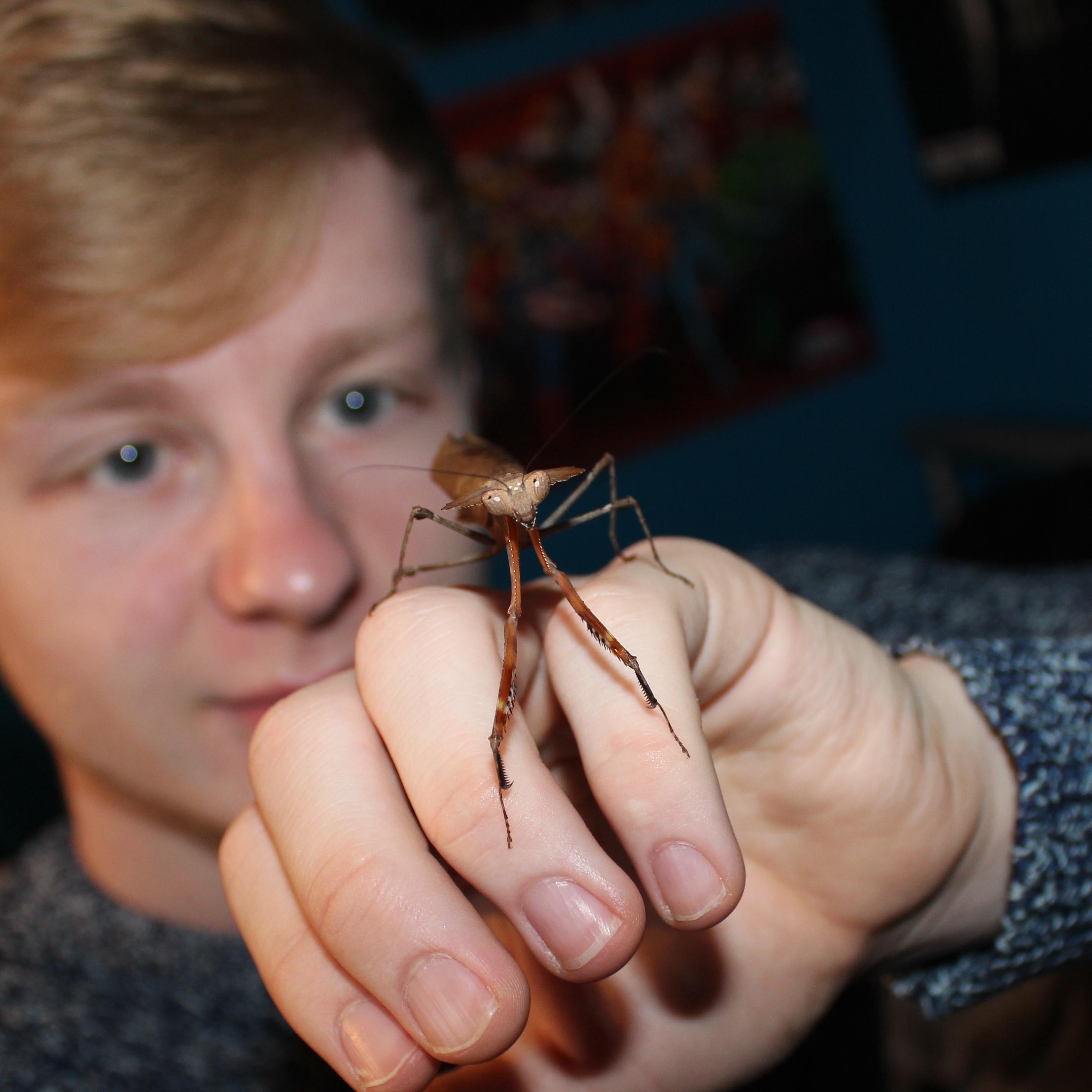 20 year old, insignificant animal lover.