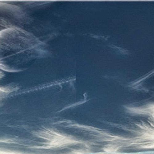 rigo6453076's profile picture. asiendo nada