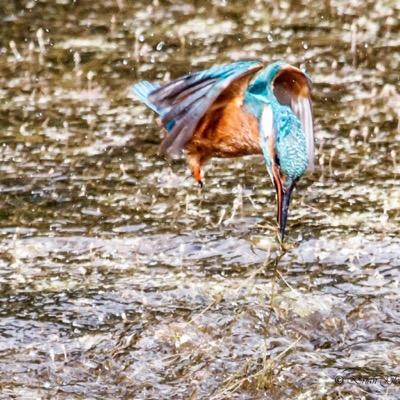Passionate about photography since my teens, usually out most days photographing https://t.co/auzdr98aCd can see more at https://t.co/xWtakmSXef.