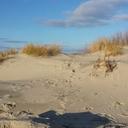 Nicole Ebert - @NicoleEbert9 - Twitter