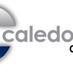 caledonian Group (@caledonian0) Twitter profile photo caledonian Group (@caledonian0) Twitter profile photo