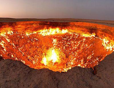 Cuculele_py's profile picture. 