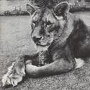 Jamal Ware - @JamalTheArtist - Twitter