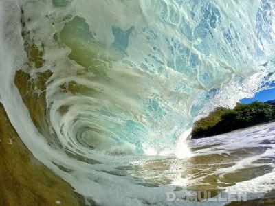 islandcruza's profile picture. 