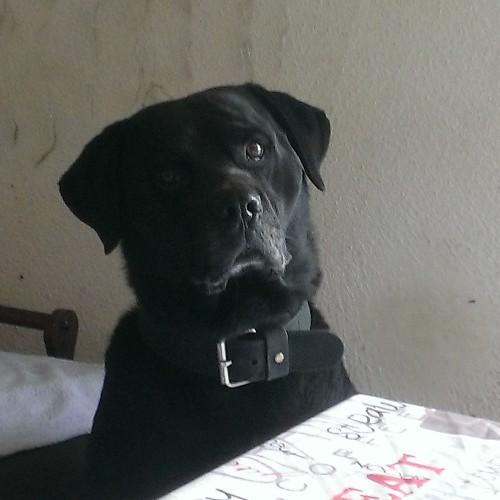 sosso66's profile picture. 