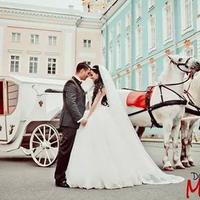 زيزو  (@cf751d779716477) Twitter profile photo