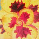 Doris Jahnke - @Dododaki - Twitter