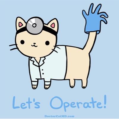 Doctor Cat