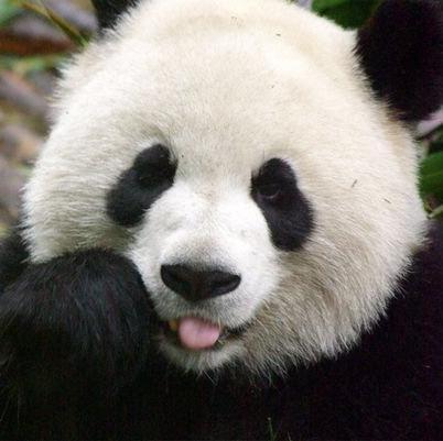 joshuabarreto4's profile picture. Hago cosas extrañas  🙂🙃🙂🙃