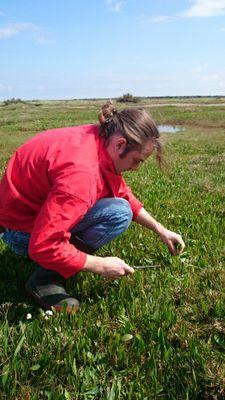 lover of all thing's wild , seasonal & forgotten. hedgerow hunting railway walking & beach combing just a few ways to find new ideas for seriously seasonal menu