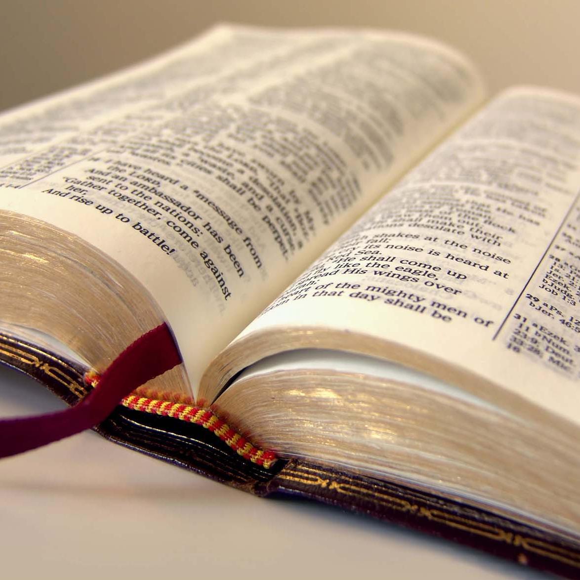 ya_ilivanov's profile picture. 