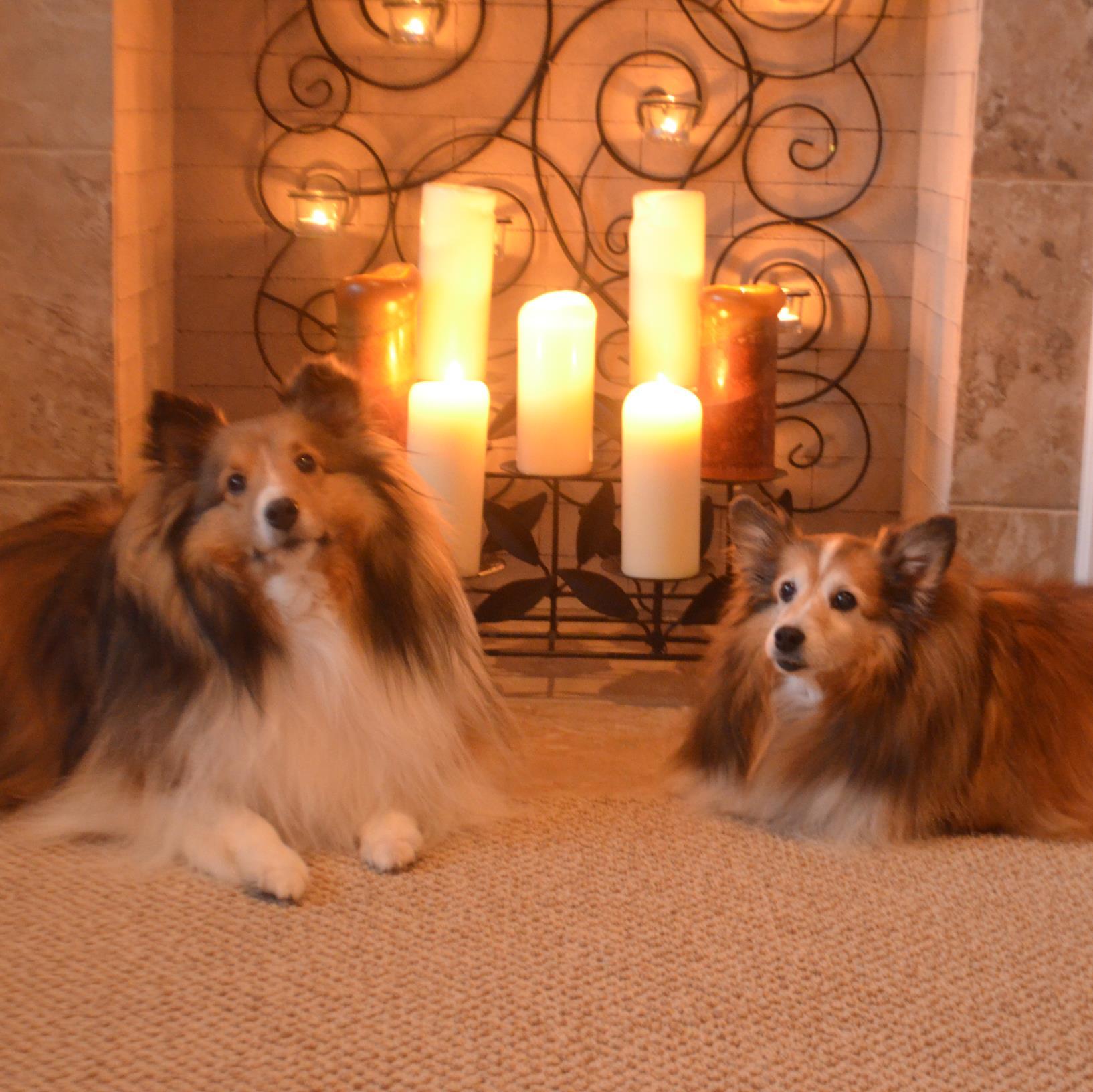J.P's Dog House 6 years old and going strong. All natural and organic dog treats. We now also offer grain free! http://t.co/I9cbR8DugX