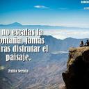 Marisol Carrillo - @Marisol25295270 - Twitter