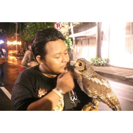 Lakukan lah sesuai hati nurani.