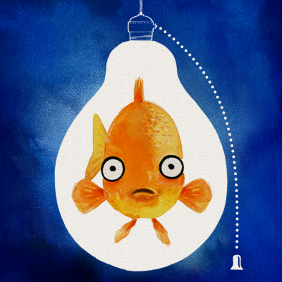 Fish in the Dark Profile