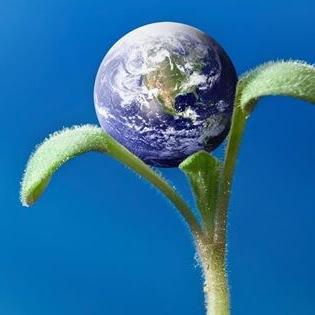 Official twitter for the UNG Environmental Club! Follow us for updates on upcoming events, meeting times, and activities!