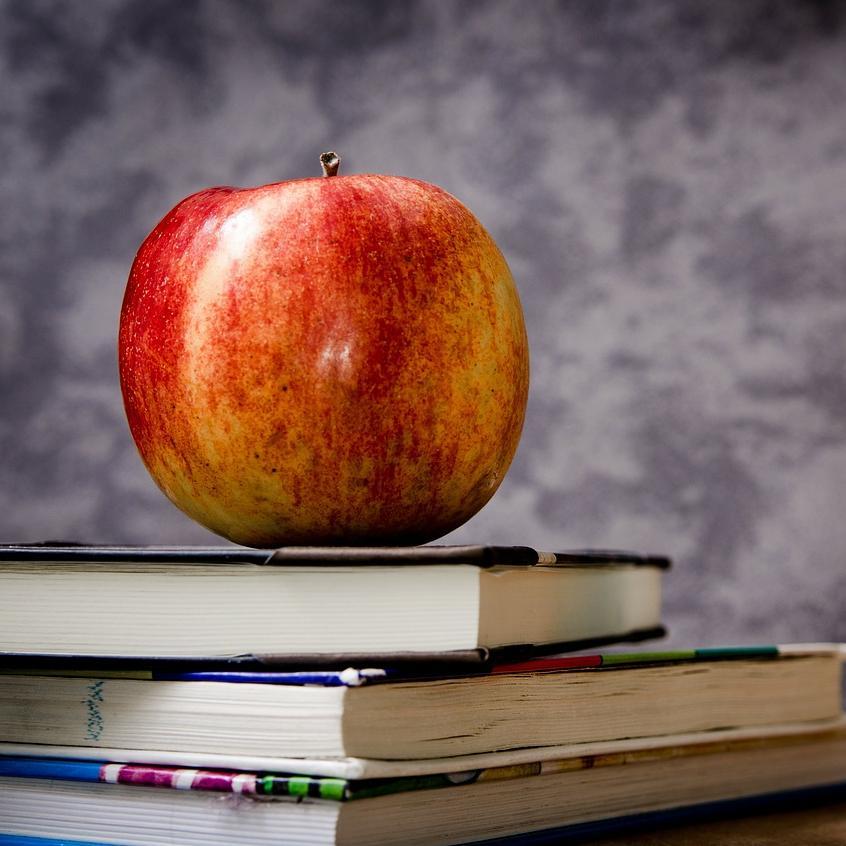 20 + years Student Services