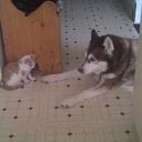 lisa parish - @lisaaparish - Twitter