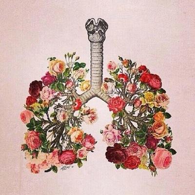 Professor of medicine and Respirology.
Faculty of Medicine, Kuwait University
استاذ في الطب الباطني و الامراض الصدريه في كليه الطب. جامعه الكويت
E-mail: mousak@