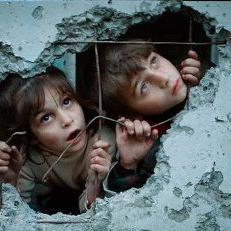 wasimtaleb's profile picture. 