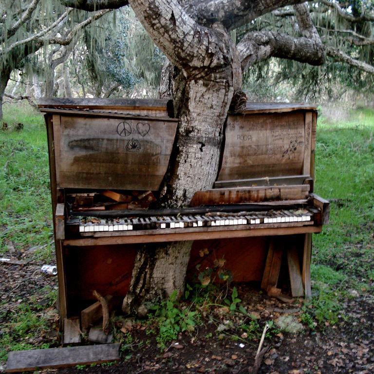 ich bin der musikant mit taschenrechner in der hand