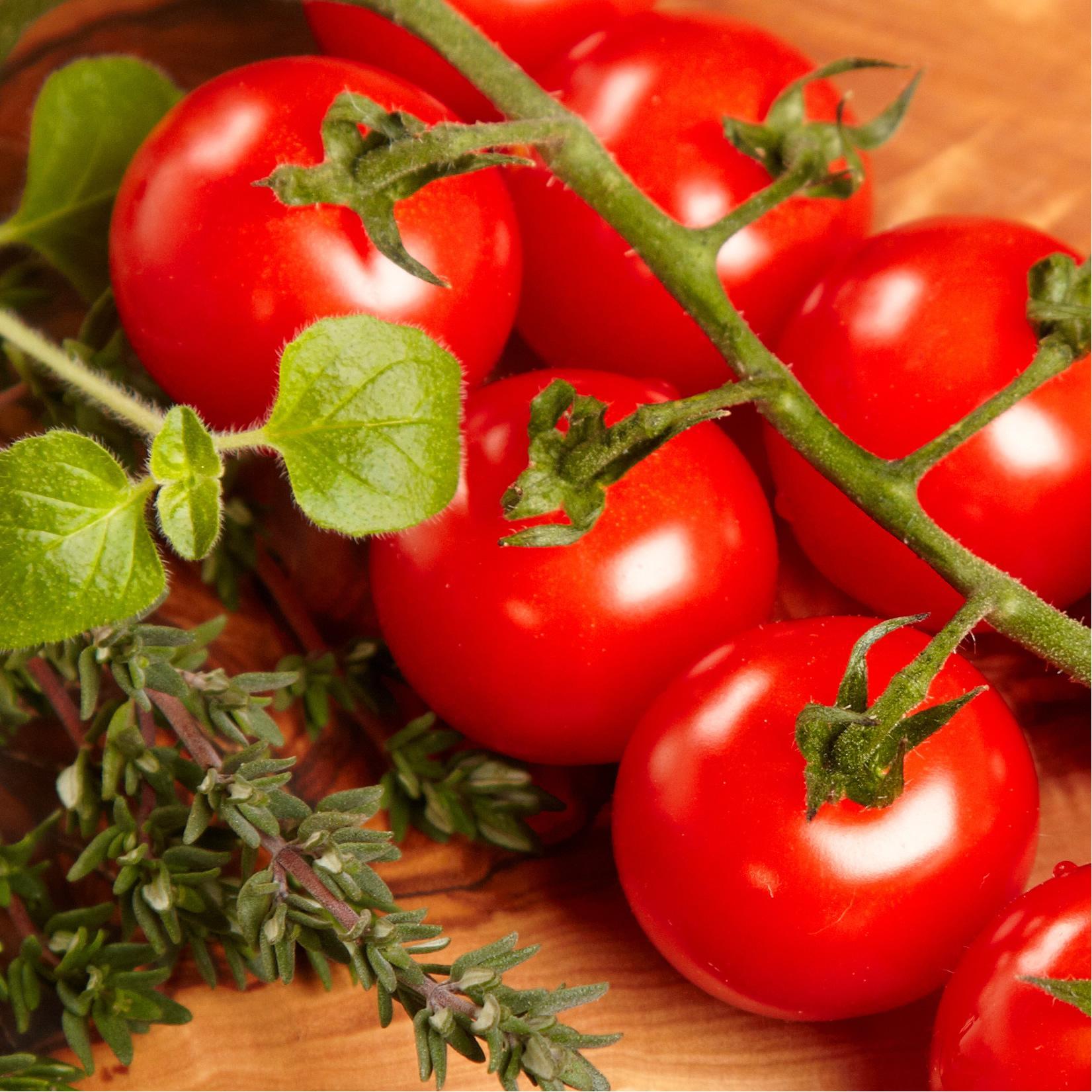 MakinPasta's profile picture. I love pasta and cooking. I should start a blog but never get around to it. Also love wine, travel and animals.