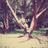 AndrePortugalGo's profile image
