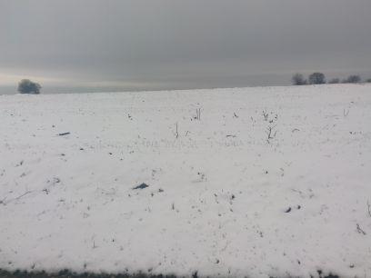 metinkubilay's profile picture. Lüleburgaz da kendi yerinizde masör hizmeti vermekteyim. iletişim DM