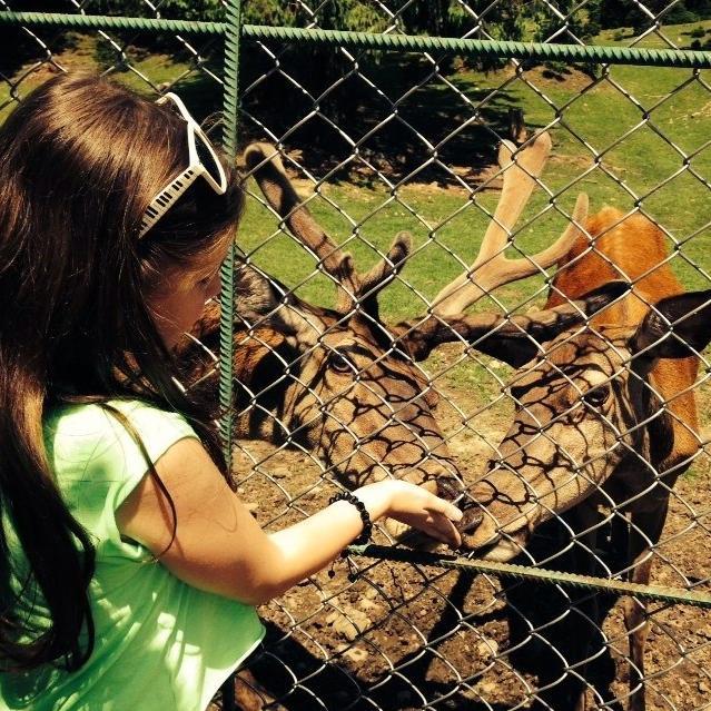 alluwion's profile picture. 