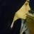 Profile Picture of نور العلي (@@NoorAlAli) on Twitter