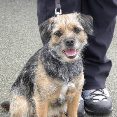 jackieandpip's profile picture. retired, love my dog, sewing and cooking!