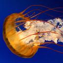 David Breeding - @DJBreeding - Twitter