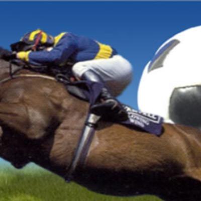 HorseAndFooty15's profile picture. horse and football tips. try to #bashthebookies as much as possible!