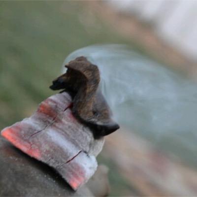 khadija332's profile picture. 