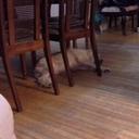 Jenna Teeter - @jennajlt1 - Twitter