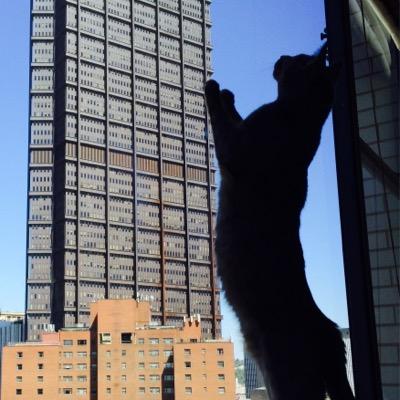 Thegingnutmeg9's profile picture. 